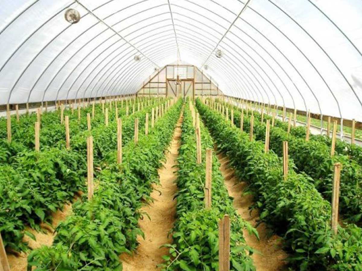 Agricultural